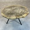 Couchtisch aus versteinertem Holz - Beige #441B7