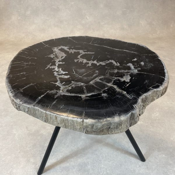 Couchtisch aus versteinertem Holz - Schwarz #419B5