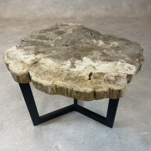 Versteend hout salontafel