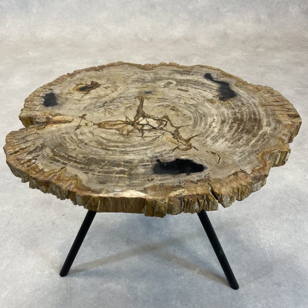Couchtisch aus versteinertem Holz - Mix #233B4