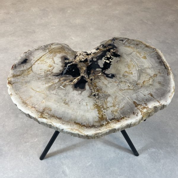 Couchtisch aus versteinertem Holz - Mix #286B1