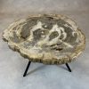 Versteend hout salontafel