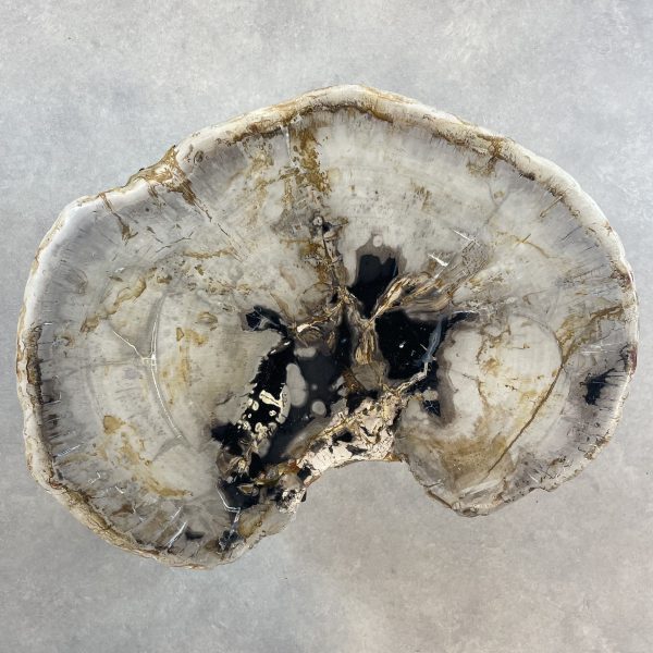 Couchtisch aus versteinertem Holz - Mix #286B1 – Bild 2