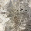 Versteend hout salontafel