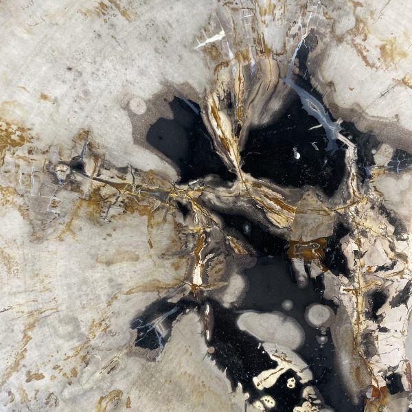 Couchtisch aus versteinertem Holz - Mix #286B1 – Bild 3