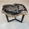 Versteend hout salontafel