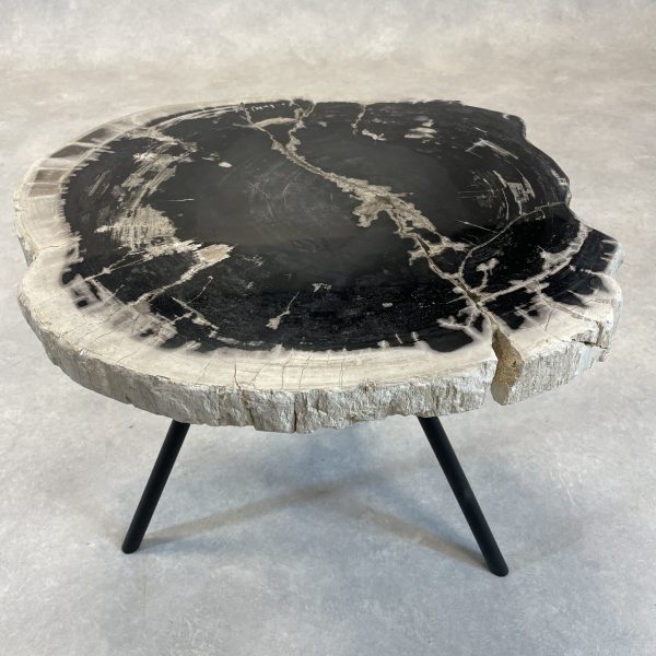 Couchtisch aus versteinertem Holz - Mix #111B4