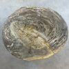 Couchtisch aus versteinertem Holz - Beige #381B9