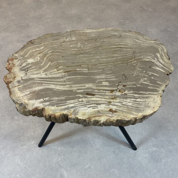 Versteend hout salontafel
