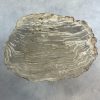 Versteend hout salontafel