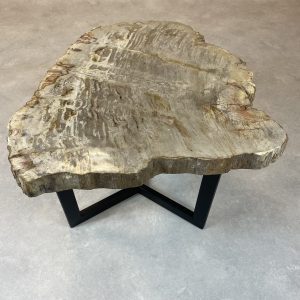 Versteend hout salontafel