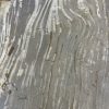 Versteend hout salontafel
