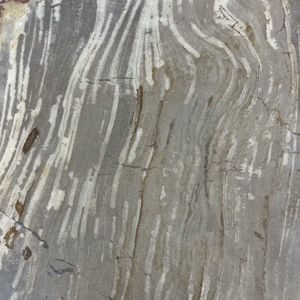 Versteend hout salontafel