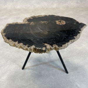 Versteend hout salontafel