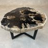 Versteend hout salontafel