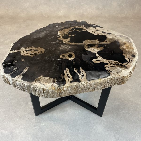 Couchtisch aus versteinertem Holz