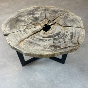 Versteend hout salontafel