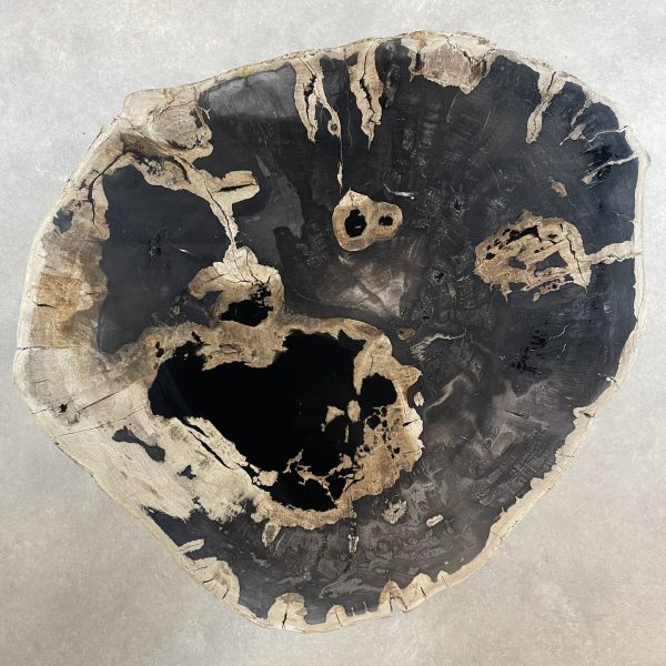 Couchtisch aus versteinertem Holz