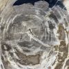 Couchtisch aus versteinertem Holz - Mix #125B4 – Bild 3