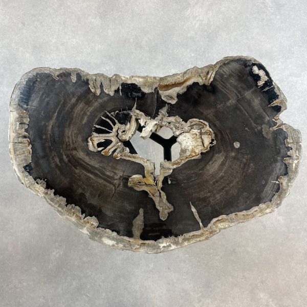 Versteend hout salontafel