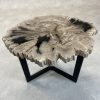 Couchtisch aus versteinertem Holz - Mix #67B4