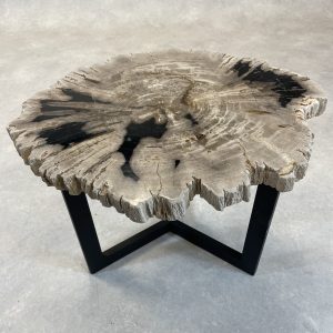 Versteend hout salontafel