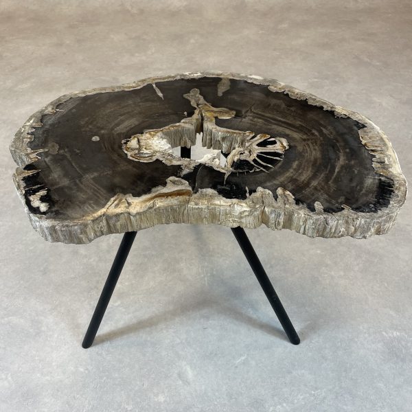 Versteend hout salontafel