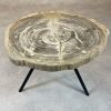 Versteend hout salontafel