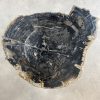 Couchtisch aus versteinertem Holz - Schwarz #88B9
