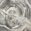 Versteend hout salontafel