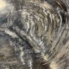 Versteend hout salontafel