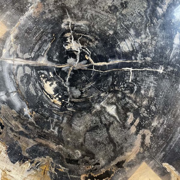 Couchtisch aus versteinertem Holz - Schwarz #88B9 – Bild 3