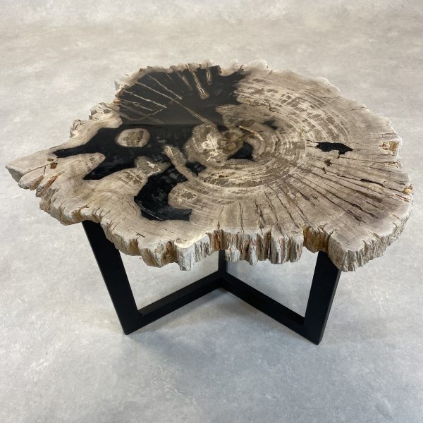 Versteend hout salontafel