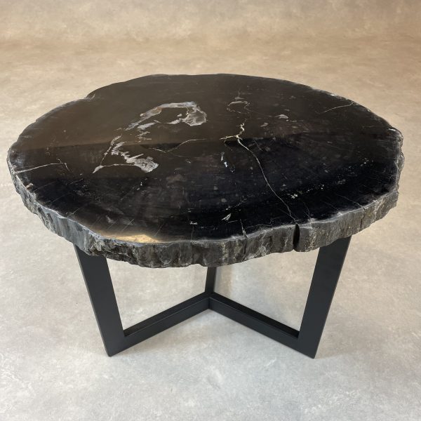 Couchtisch aus versteinertem Holz