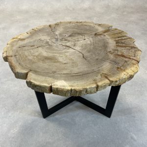 Versteend hout salontafel