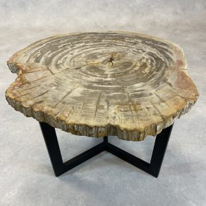 Versteend hout salontafel