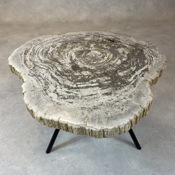 Couchtisch aus versteinertem Holz - Beige #380B9 – Bild 2