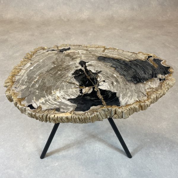 Couchtisch aus versteinertem Holz - Mix #45B9