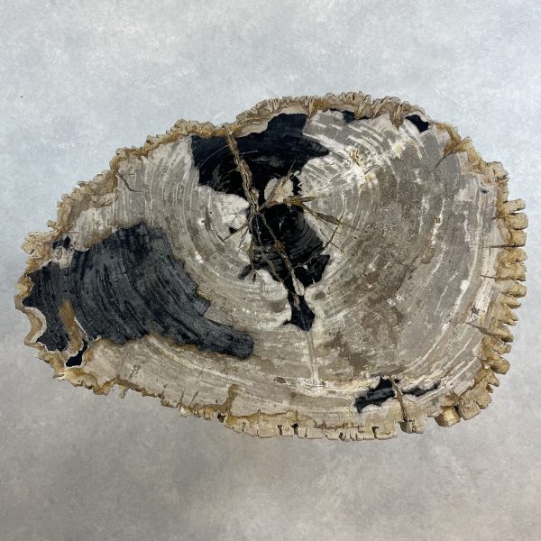 Couchtisch aus versteinertem Holz - Mix #45B9 – Bild 2