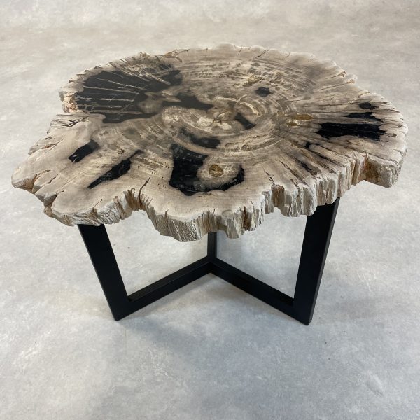 Versteend hout salontafel