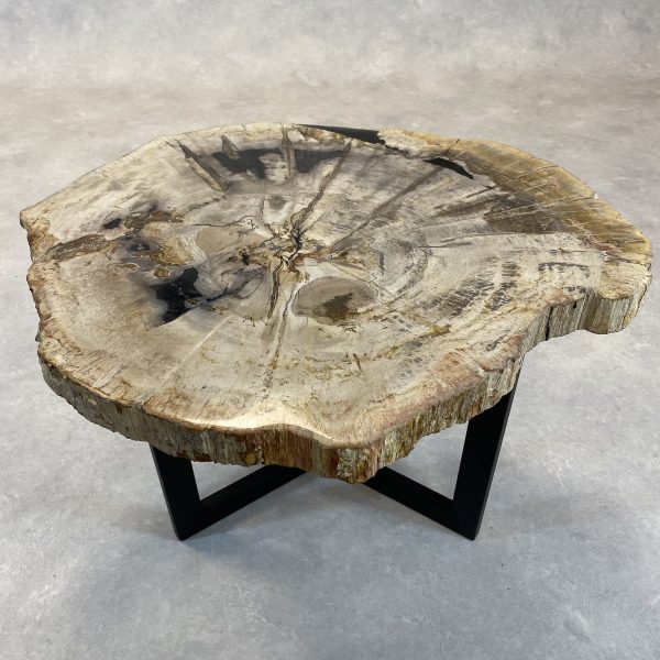 Couchtisch aus versteinertem Holz - Mix #221B4