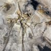 Couchtisch aus versteinertem Holz - Mix #221B4 – Bild 3