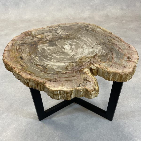 Couchtisch aus versteinertem Holz - Beige #139B4
