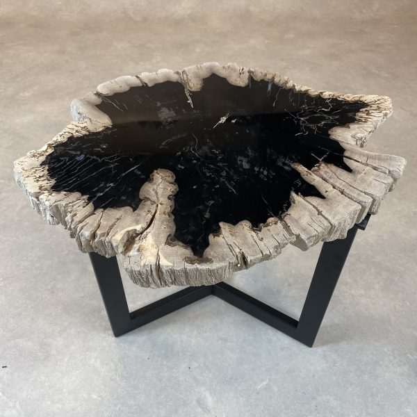 Versteend hout salontafel