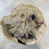 Couchtisch aus versteinertem Holz - Mix #221B4 – Bild 2