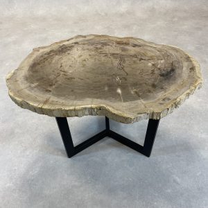 Versteend hout salontafel