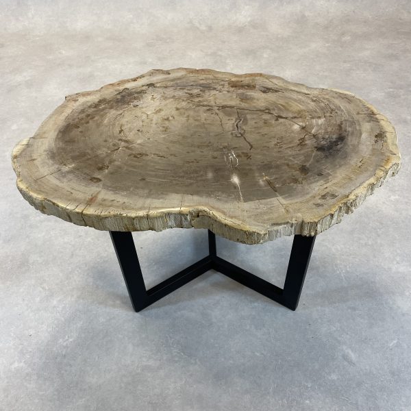 Couchtisch aus versteinertem Holz - Mix #222B4