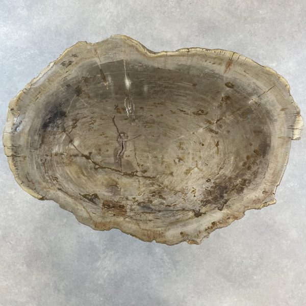 Couchtisch aus versteinertem Holz - Mix #222B4 – Bild 2