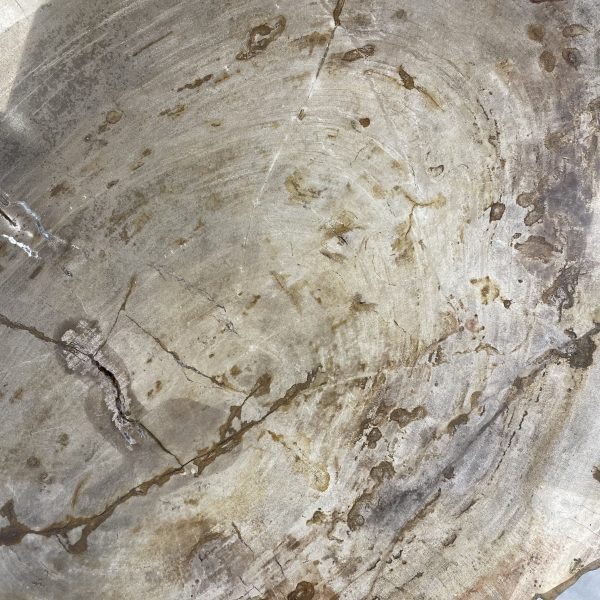 Couchtisch aus versteinertem Holz - Mix #222B4 – Bild 3