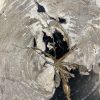 Couchtisch aus versteinertem Holz - Mix #35B9 – Bild 4